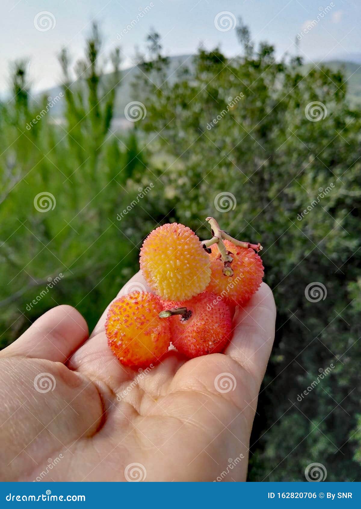 photo of rare berry fruit